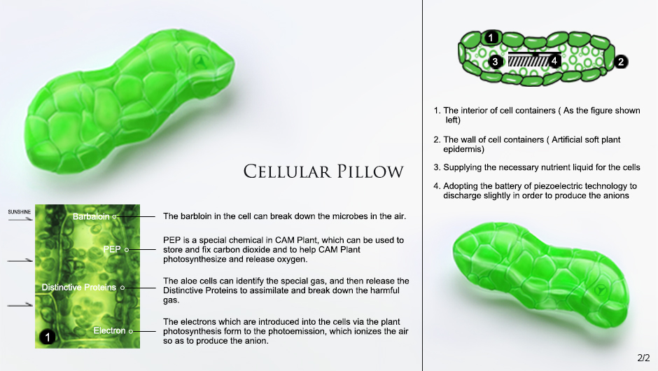 Cellular Pillow