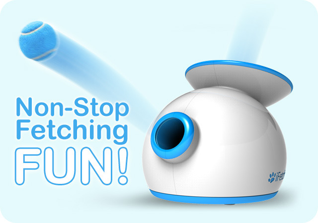 iFetch - urządzenie, które samo bawi się z Twoim psem iFetch 1