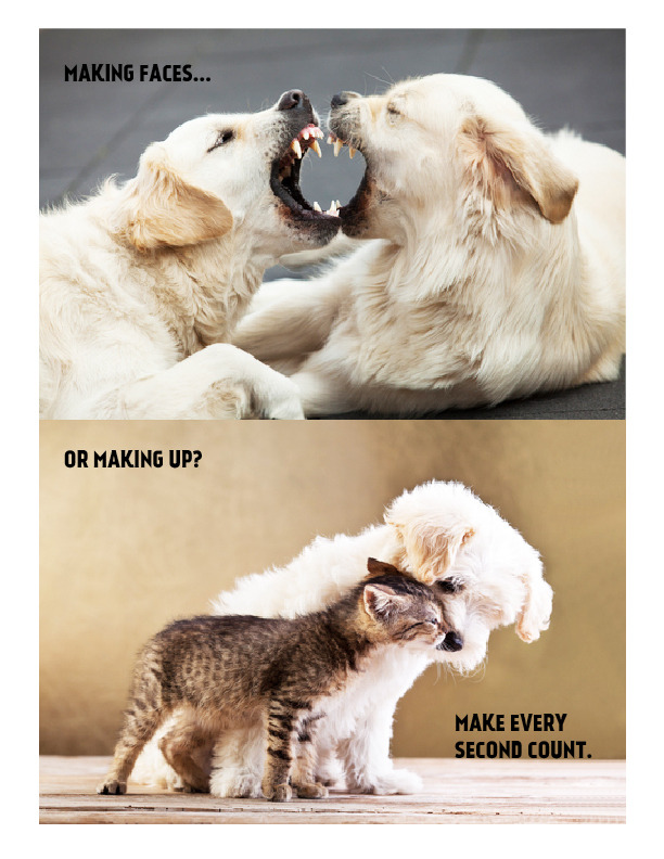 Tikker - zegarek odliczający czas pozostały do śmierci Tikker