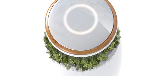 Urban Composter - własny kompostownik w domowym zaciszu Urban Composter