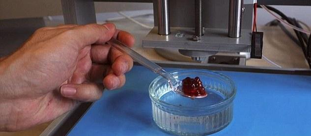 3D Fruit Printer - drukowanie owoców 3D Fruit printer 3