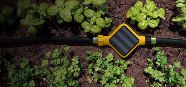 Edyn - inteligentny system do prywatnego ogrodu edyn