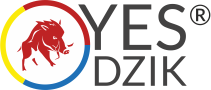 Recenzja YESdzik'a logo_yesdzik_r