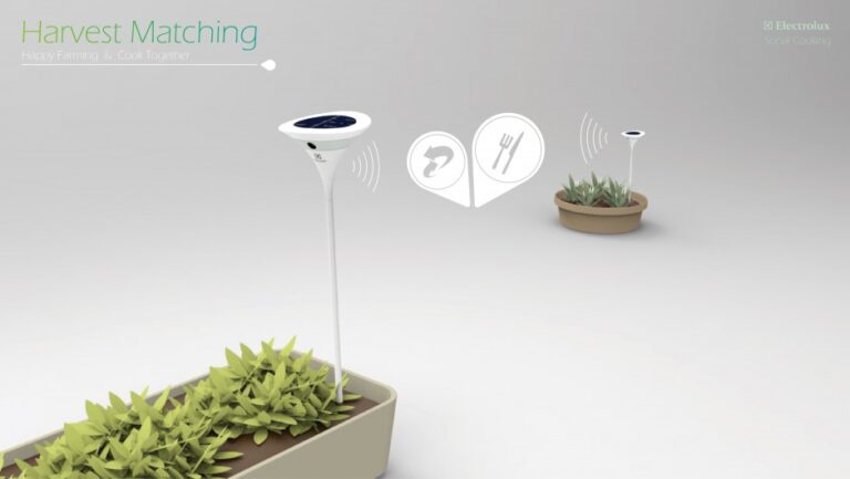 Harvest Matching - hoduj warzywa i gotuj z przyjaciółmi