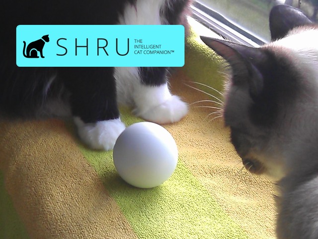 SHRU – inteligentny, elektroniczny towarzysz kota SHRU - inteligentny, elektroniczny towarzysz kota