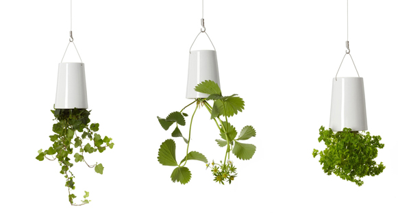 Sky Planter - zioła do góry nogami