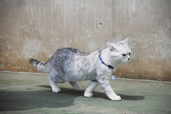 iFind – pierwszy na świecie lokalizator nie wymagający baterii iFind - pierwszy na świecie lokalizator nie wymagający baterii