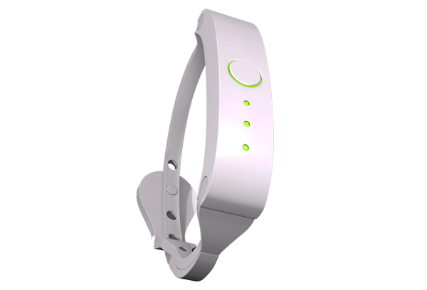 Pinto – bransoleta z chmurą danych Pinto – bransoleta z chmurą danych