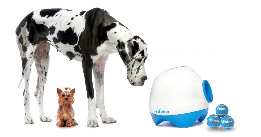  iFetch Too – urządzenie rzucające piłkę do aportowania psom