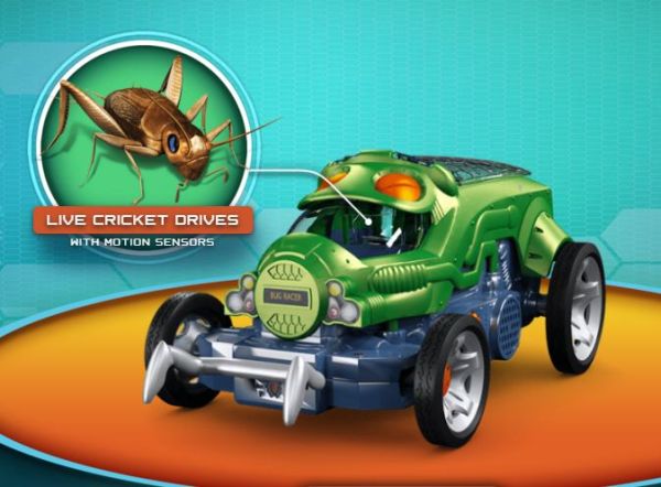  Bug Racer – samochód z żywym robakiem