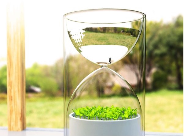  Pomysłowa roślina w szkle czyli Living Glass