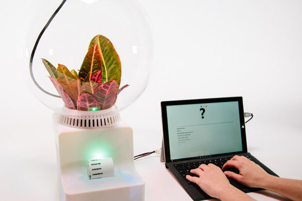  Project Florence – Microsoft wie o czym mówią rośliny