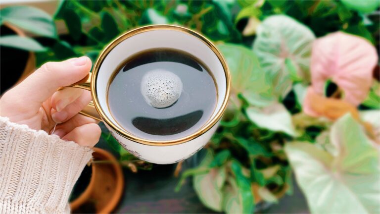 kawa, espresso, filiżanka kawy