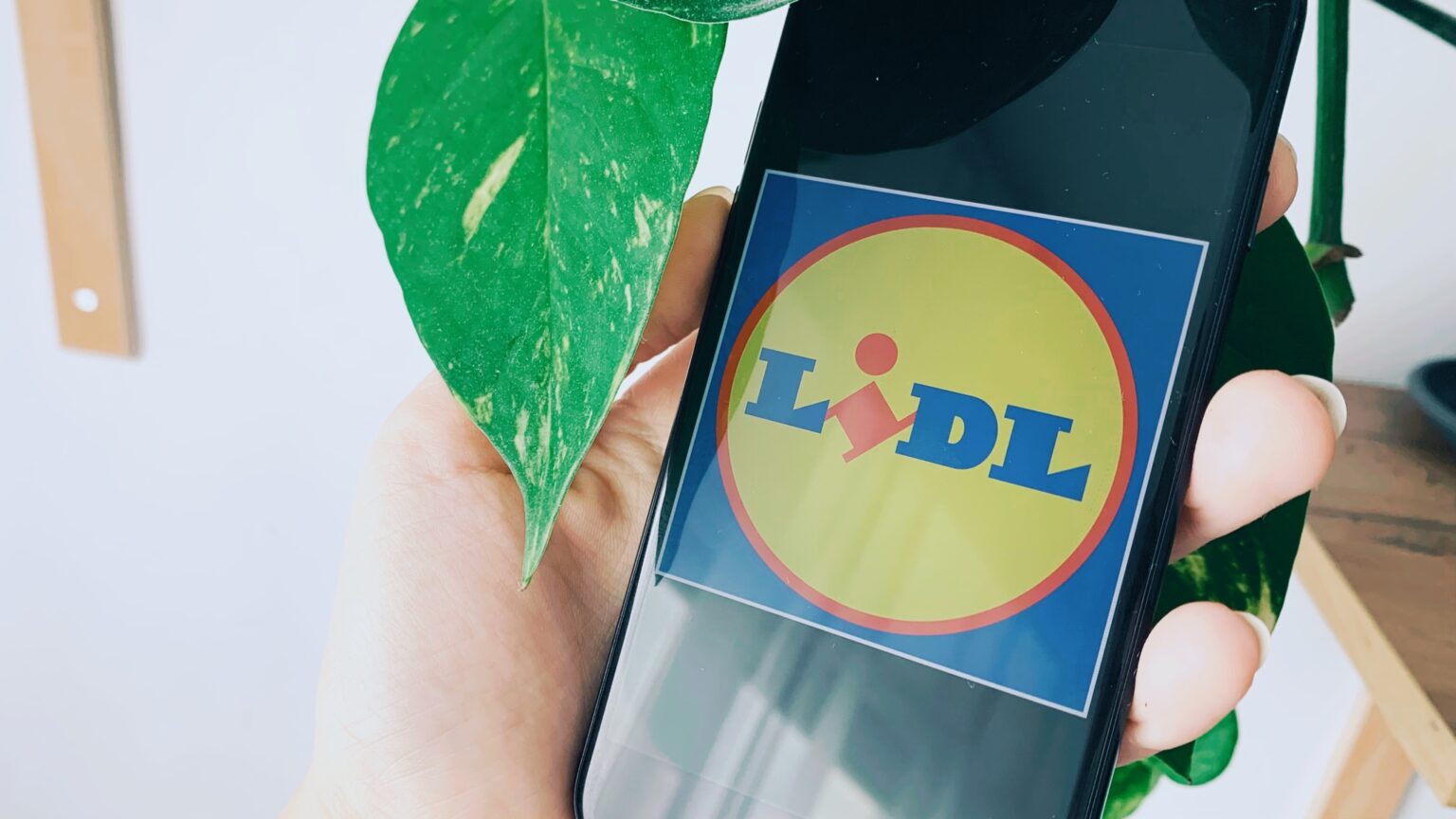 Taniej nie znajdziesz nigdzie! Warto zwrócić uwagę