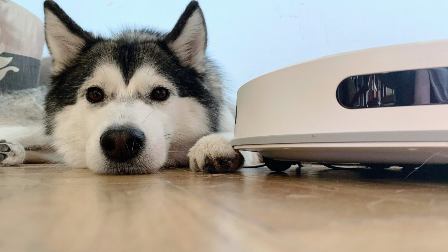 Tefal X-Plorer serie 75 S+- wideorecenzja