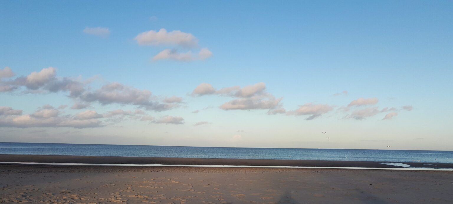 oczyszczacz, nawilżacz