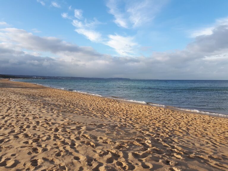 oczyszczacz, nawilżacz