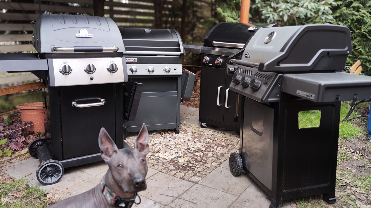 test czterech grilli gazowych, grille gazowe, Broilking, Campingaz, Landman, Napoleon