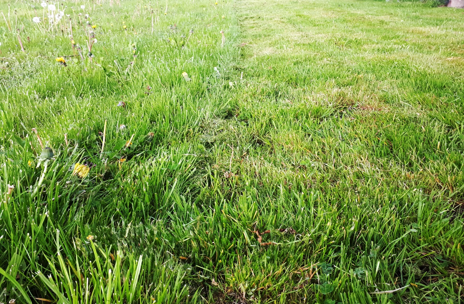 Traktorki kosiarki - poradnik