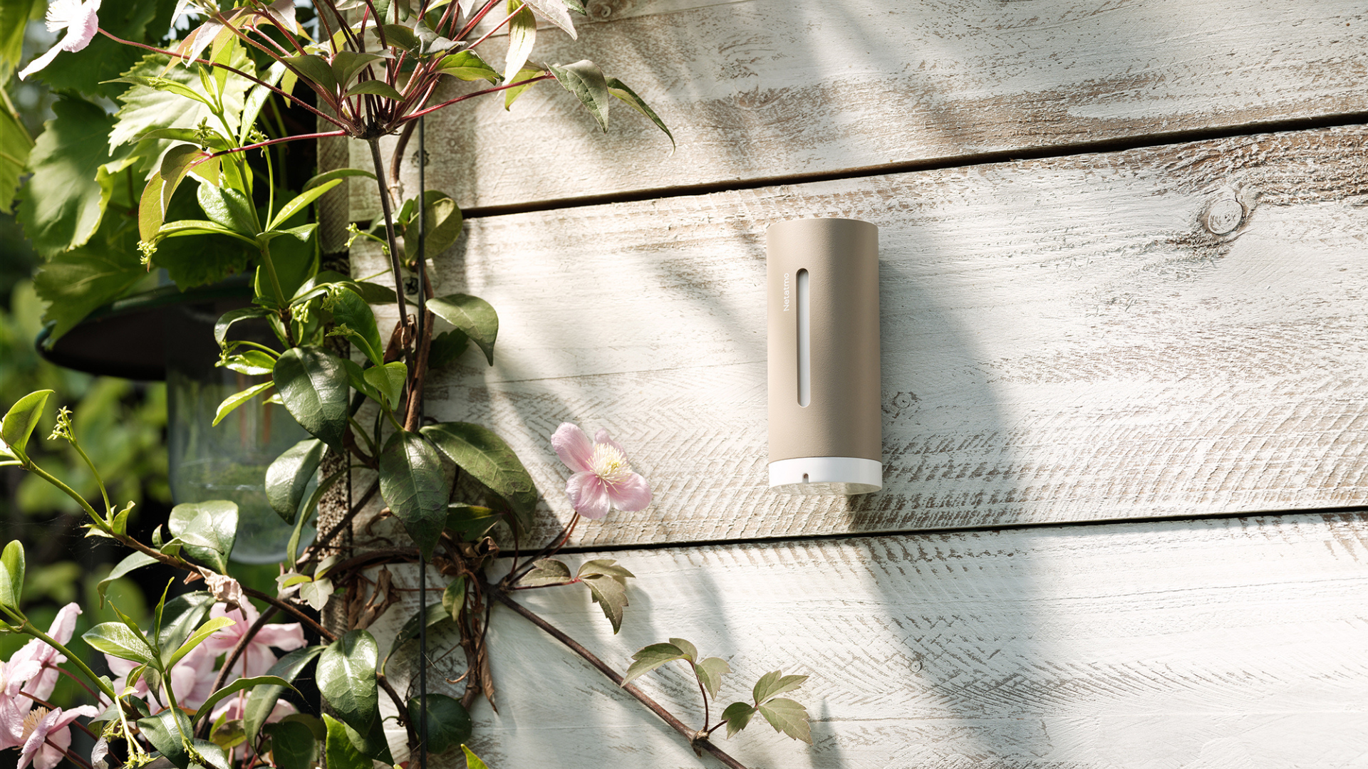 Szklana pogoda z aplikacją. Nowa stacja Netatmo ostrzeże Cię przed słońcem i pyłkami Netatmo stacja pogodowa