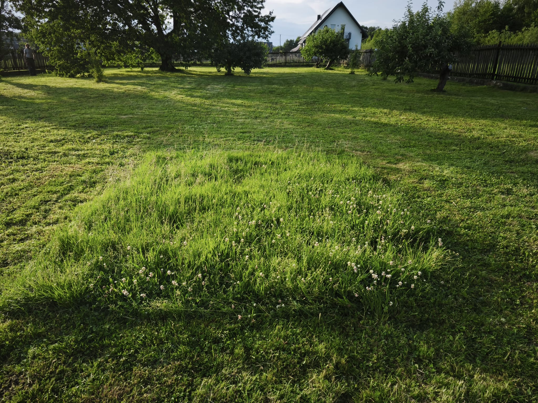 Sprawdzam jak działa robot koszący MOVA 1000. Czy warto go kupić? Kosiarka Mova 1000