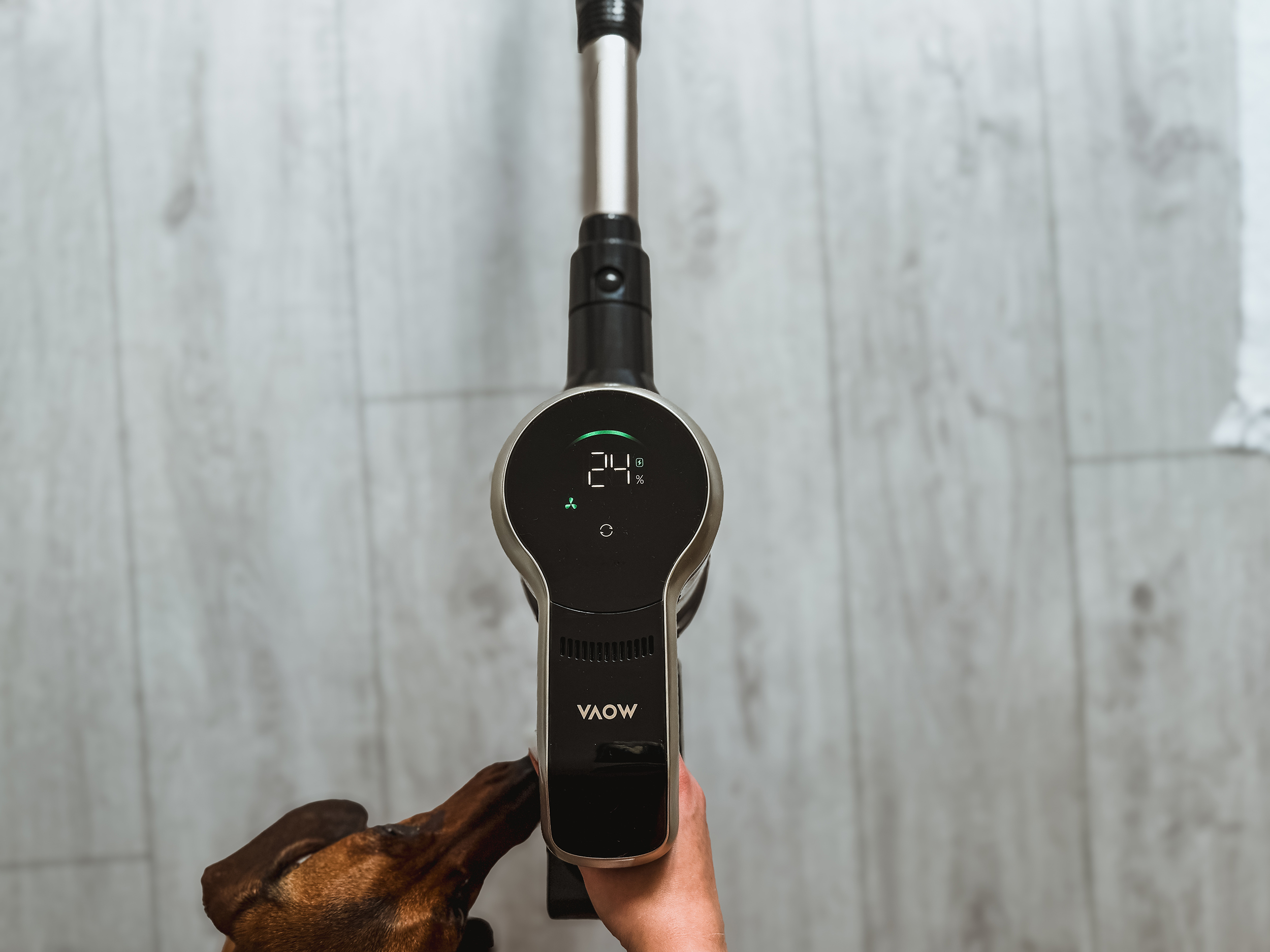 recenzja mova s2 detect ekran